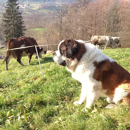 דירה Peter Ranch 1